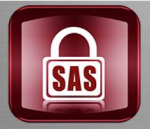 Secured Alarm Systems Ltd Logo
